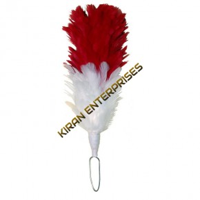 Palm/Feather